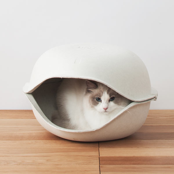minimalist cat bed