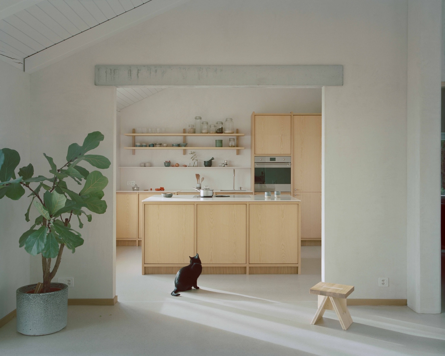 Single-Story Villa